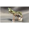 Image 2 : 3.3" RAINBOW BISMUTH LISTED RETAIL $350
