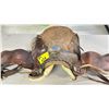 Image 8 : WESTERN SADDLE