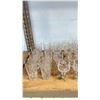 Image 2 : SHELF OF ASSORTED CRYSTAL & MORE