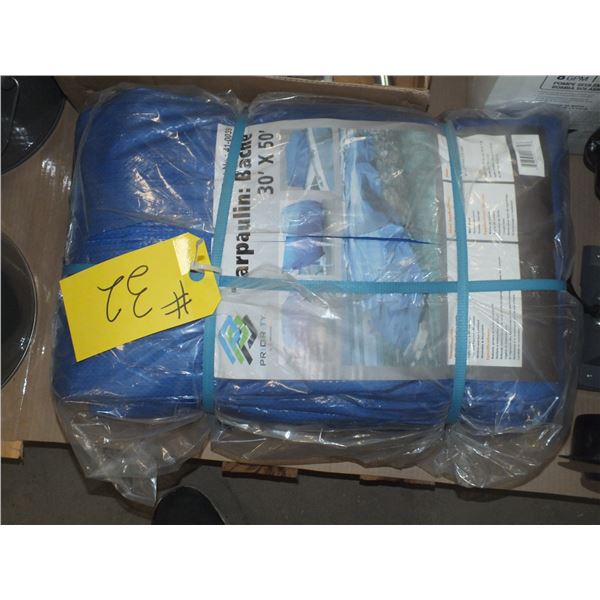 30' x 30' Tarp