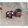 Image 3 : Vintage Salt and Pepper Shakers