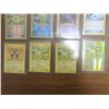 Image 4 : 12 2016 Pokemon cards