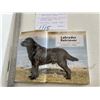 Image 2 : Labrador Retriever - Kennel Club Book