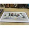 Image 1 : duck picture "the divers"