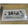 Image 2 : duck picture "the divers"