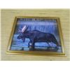 Image 2 : moose picture