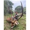 Image 8 : ARGENTINA BIG GAME AND FISHING SAFARI FOR 2 HUNTERS
