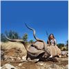 Image 2 : SOUTH AFRICAN CAPE KUDU SAFARI FOR 2 HUNTERS