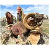 Image 8 : SPANISH BIG GAME HUNT FOR 2 HUNTERS and 2 NON-HUNTERS