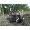 Image 8 : SERBIAN RACKA SHEEP HUNT FOR 1 HUNTER AND 1 NON-HUNTER OR 2 HUNTERS