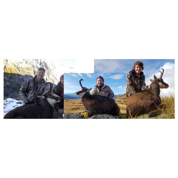 Chamois Cardona Outfitter New Zealand