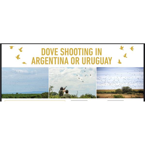 Dove and Pigeon David Denies Bird Hunting Argentina
