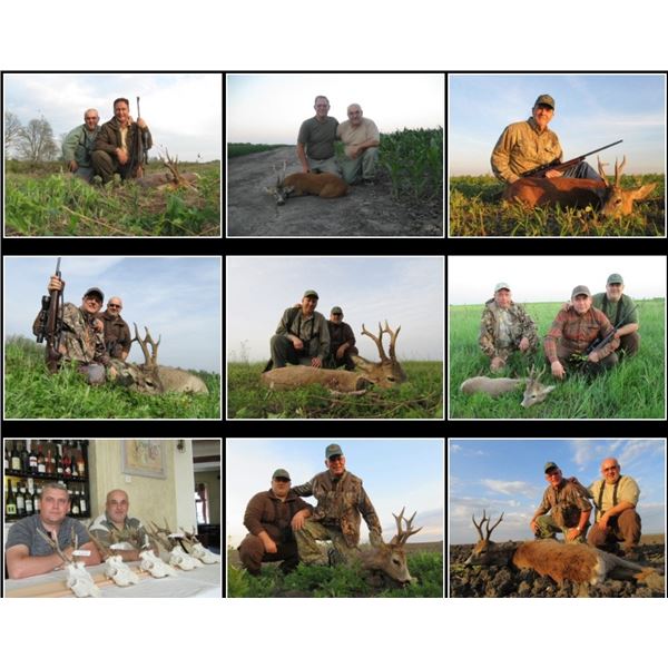 Roe Deer Euro Hunting Adventures Serbia