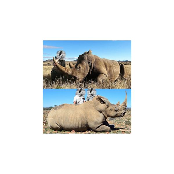 Rhino Dart Hunt Vos and Co SA