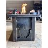 Image 2 : Custom Fire Pit