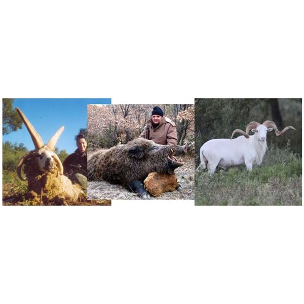 Argentina 6 Big Game Animals 2 hunters - Anuritay Ranch