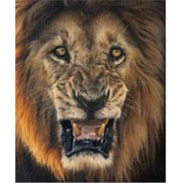 Signed SCI Print of the Year