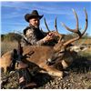 Image 1 : Whitetail Hunt 140” B