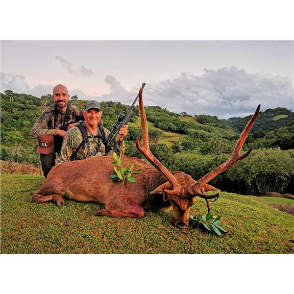 Rusa Deer Hunt in Mauritius