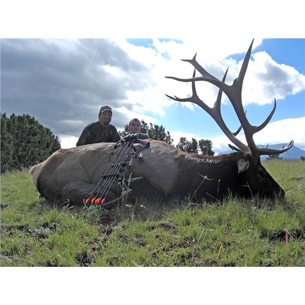New Mexico Elk BOW Hunt