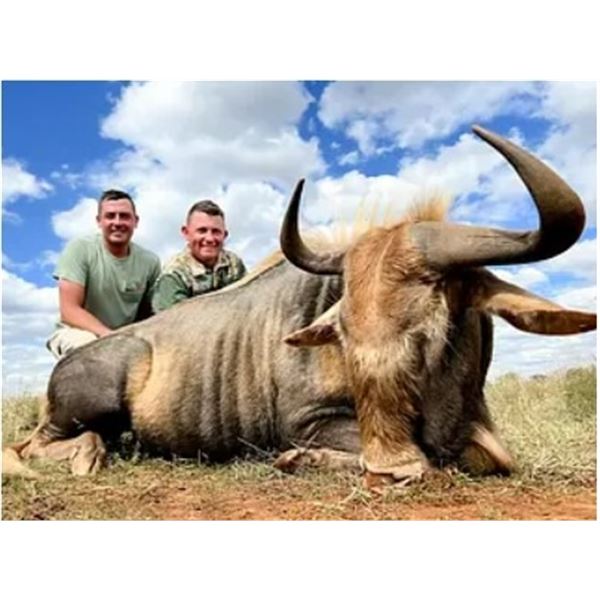 7 Day South African Safari