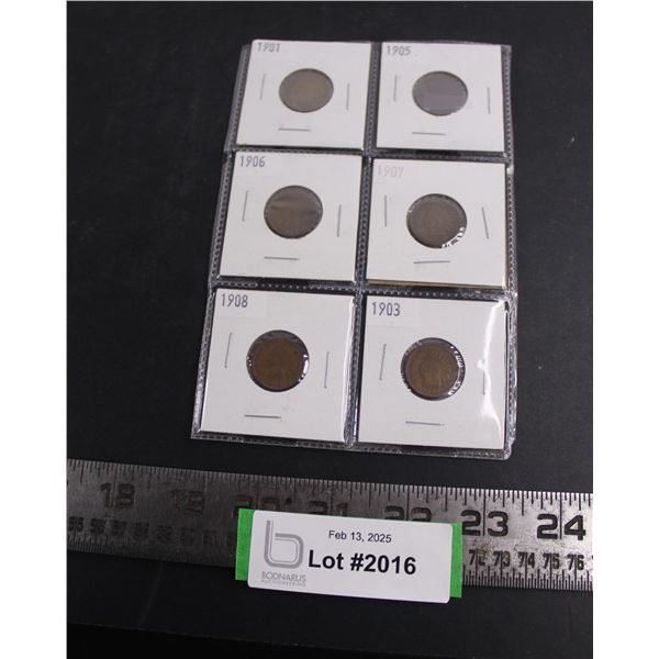(6) American "Indian Head" Pennies - Dated 1901-08