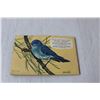 Image 2 : Brooke Bond Canadian-American Songbirds Album No.9 with (48) Red Rose/Blue Ribbon Cards, 1965