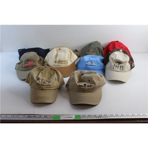 (10) Baseball Hats