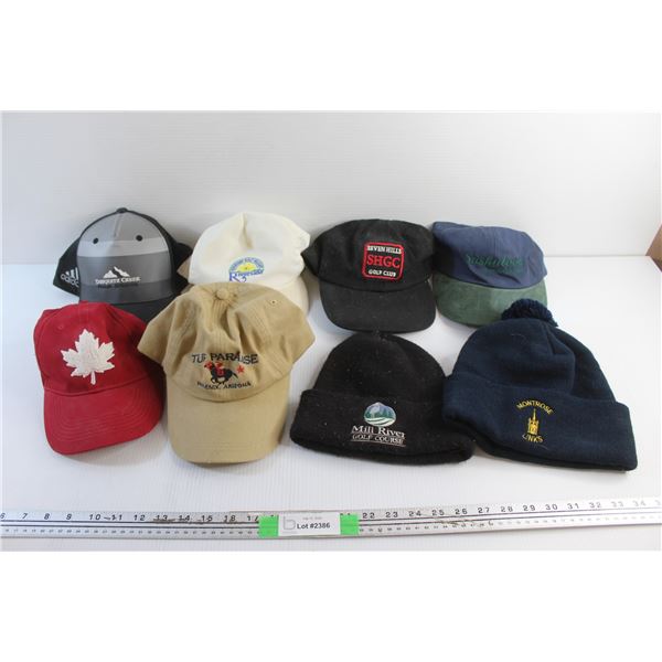 (6) Baseball Hats and (2) Winter Toques