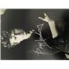 Image 1 : The Eagles Don Henley signed photo