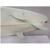 Image 8 : Town & Country Hawaii Tanaka Surfboard, Signed 84" x 19" x 2.5"