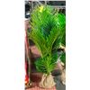 Image 2 : NEW PALM TREE ARTIFICIAL PLANTS DECORATION H-48"