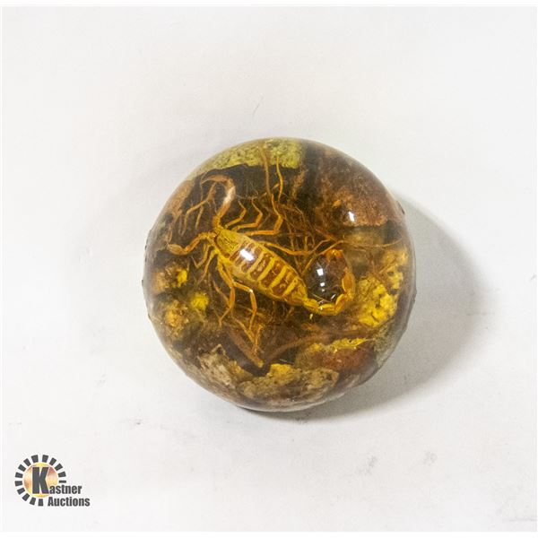 GLASS ENCASED SCORPION
