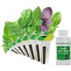 Image 1 : NEW 6 POD AEROGARDEN SEED POD KIT PESTO BASIL