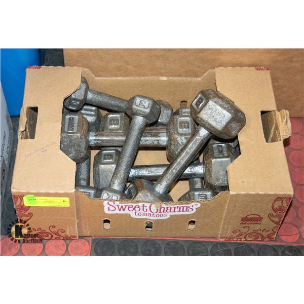 DUMBBELL SET 4X8-2X5-4X3 54 LBS TOTAL