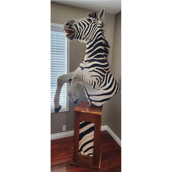 Zebra Pedestal 1/2 Mount