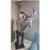 Image 1 : South African Greater Kudu 1/2 Mounted on Swivel Pedestal