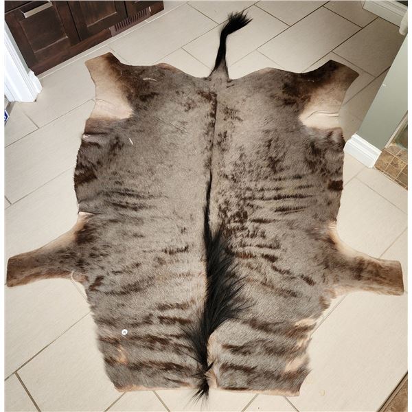 South African Buffalo Hide