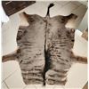 Image 1 : South African Buffalo Hide