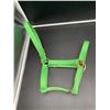 Image 1 : Green Adjustable Nylon Horse Halter with Brass-Plated Hardware