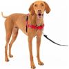 Image 1 : PetSafe Easy Walk No-Pull Harness, Medium, Red/Black