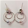 Image 1 : Silver Earrings (~Size 0) (~length 0inches), Suggested Retail Value $60