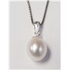 Image 1 : Silver Fresh Water Pearl 18" Necklace, Suggested Retail Value $160