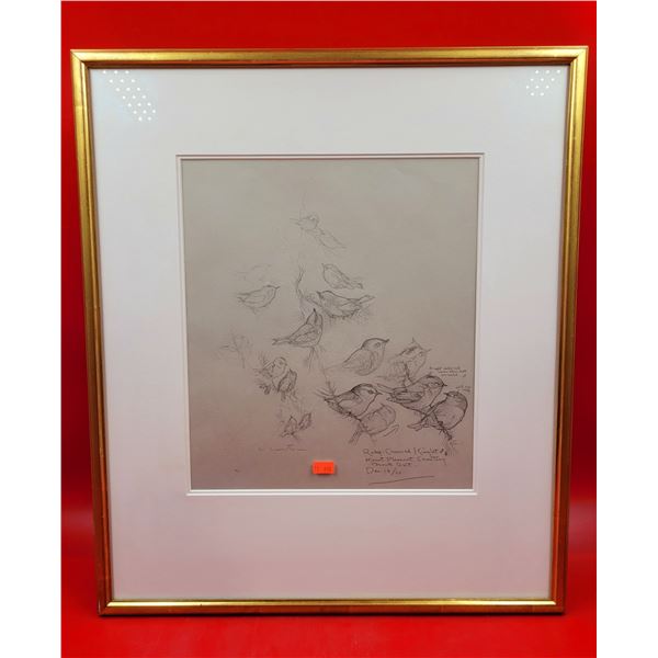 Framed Original "Ruby-Crowned Kinglet" Sketch by Glen Coates