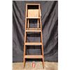 Image 1 : Wooden Ladder