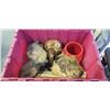 Image 2 : 2 TOTES OF UNIQUE WOOD CARVED ITEMS, BURLS ETC