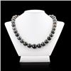 Image 1 : 12MM to 15MM Tahitian Cultured Pearl Necklace with 14K White Gold Clasp