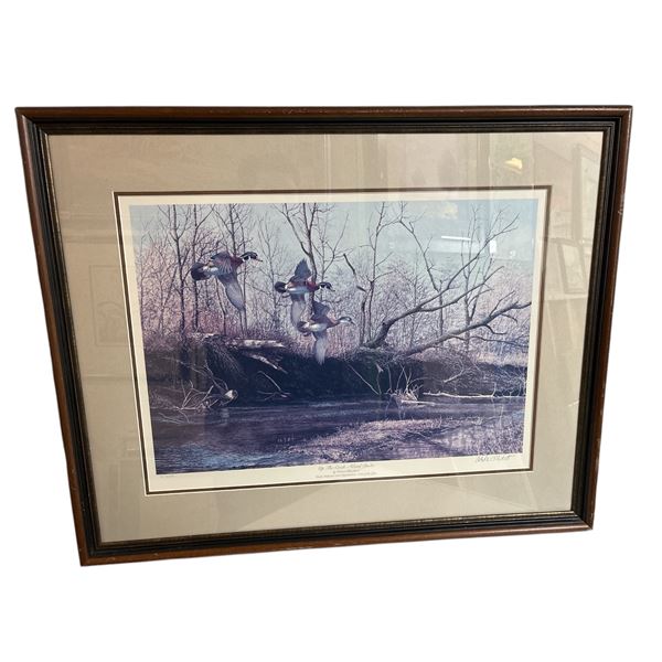 Framed "Up the creek- wood ducks" by Richard Plasschaert limited edition #3677/4900 print signed by 