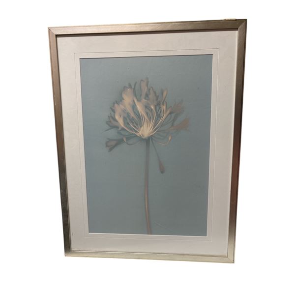 Framed "Floral' print 21.5 inch x 32 inch