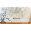Image 2 : FRAMED PENCIL ON PAPER OF PEREGRINE FALCON 41" X 31"